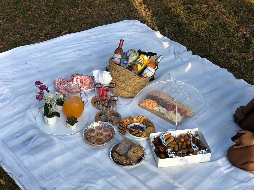 Overhead shot of picnic food setup