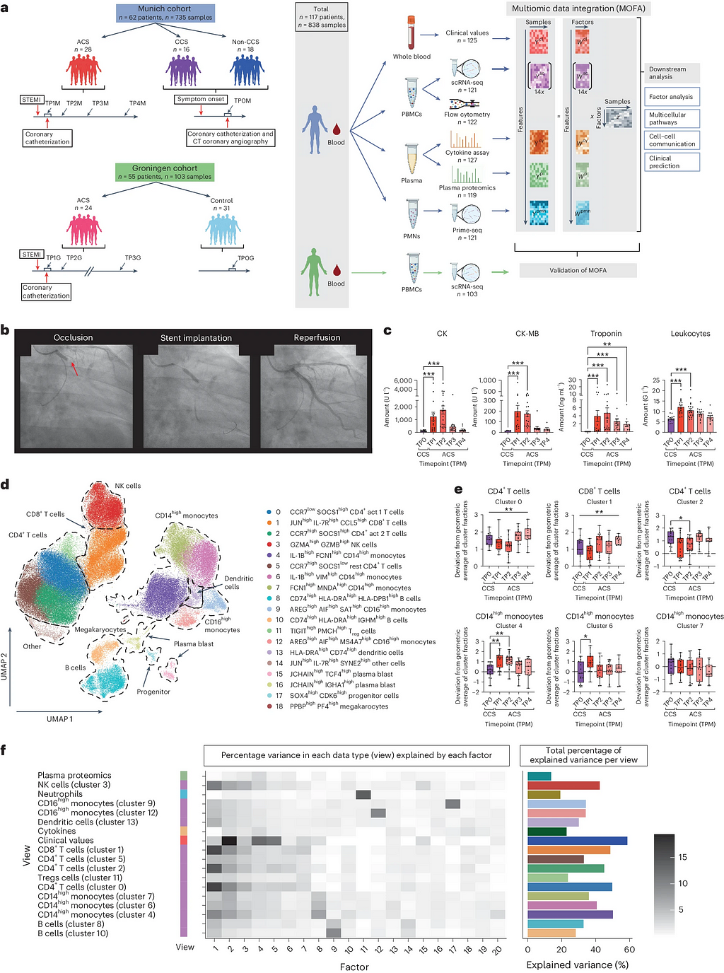 A multi-omic dataset was created from clinical blood tests (cl), scRNA-seq (SC), flow cytometry, cytokine assay (cy), plasma proteomics (p) and neutrophil (pmn) prime-seq. This was followed by MOFA model estimation and downstream analysis. Credit: Nature Medicine (2024). DOI: 10.1038/s41591–024–02953–4