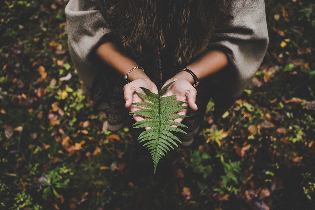 Woman holding fern leaf while standing in the forest