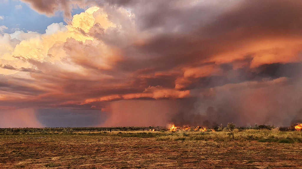 Google Earth and Earth Engine - Medium - How Kimberley Land Council’s Indigenous rangers bring 65,000 years of expertise to Earth Engine…