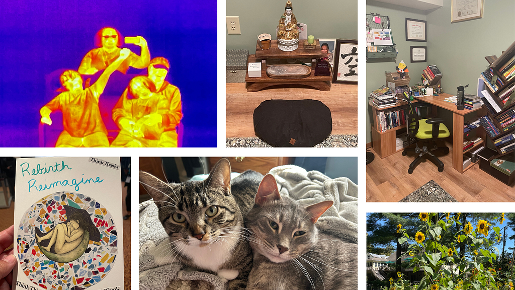 A collage of six photos. The first shows an infrared image of people in yellow and red tones against a blue background. The second is a peaceful meditation space with a cushion, incense, dedications to loved ones, and a Buddha statue. The third shows an organized office with a desk and a bookshelf filled with books. Along the bottom, the fourth is a mosaic collage. The fifth is two gray cats&ndash; one with black stripes and the other with white. The sixth is a photo of sunflowers on a sunny day.