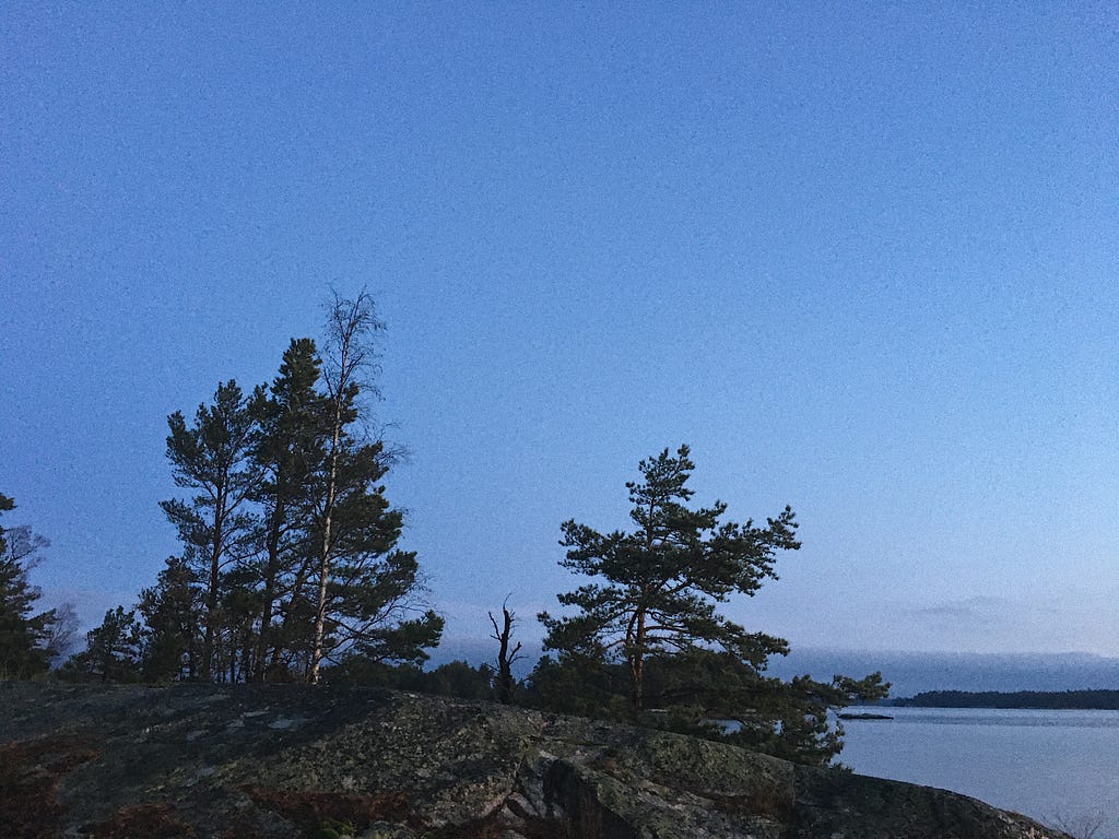 Pine trees on the cliffs of Ekskäret.