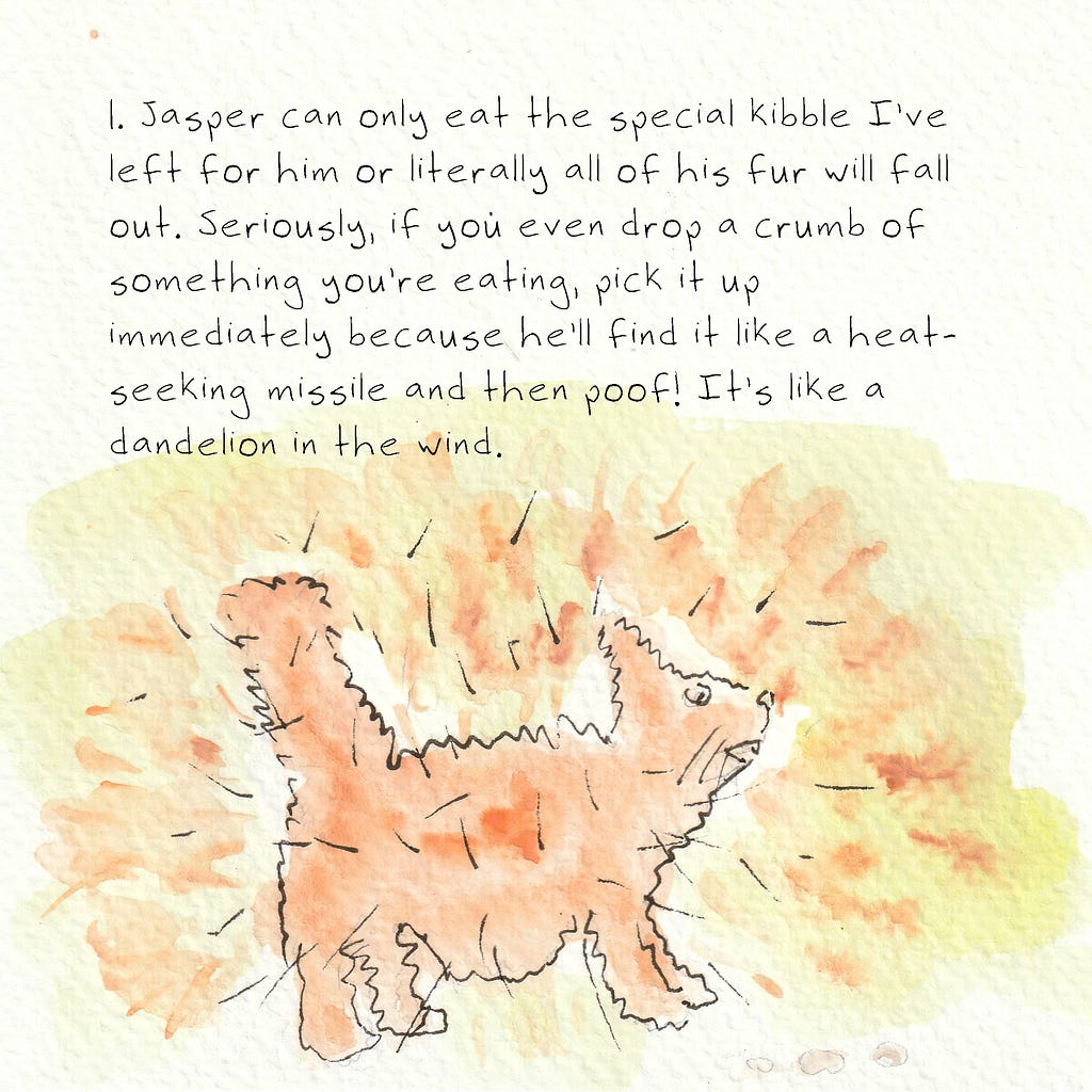 An illustration of an orange cat with his hair exploding out all around him. Text reads: 1. Jasper can only eat the special kibble I’ve left for him or literally all of his fur will fall out. Seriously, if you even drop a crumb of something you’re eating, pick it up immediately because he’ll find it like a heat-seeking missile and then poof! It’s like a dandelion in the wind.