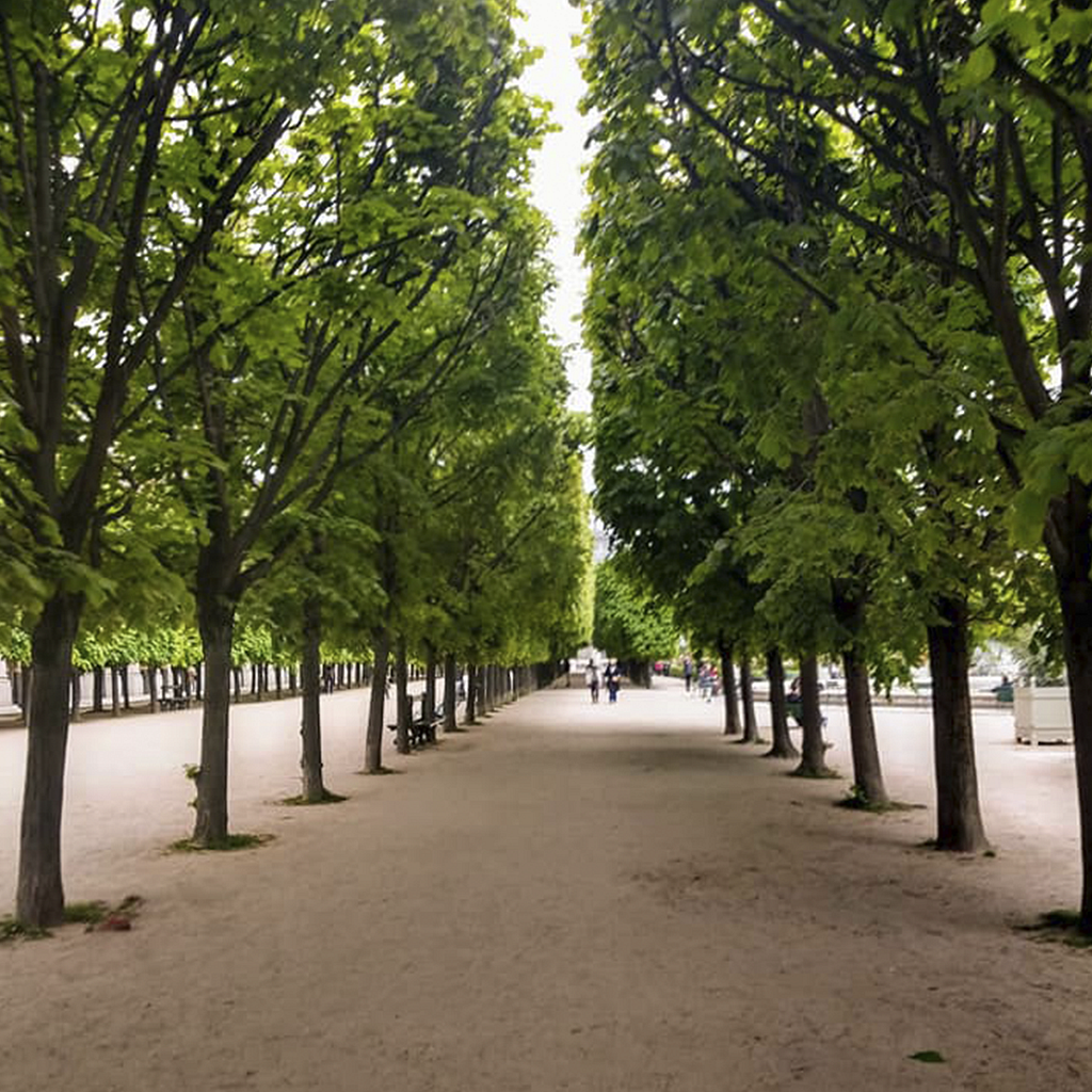 Roteiro de viagem para Paris: Jardim das Belas letras.