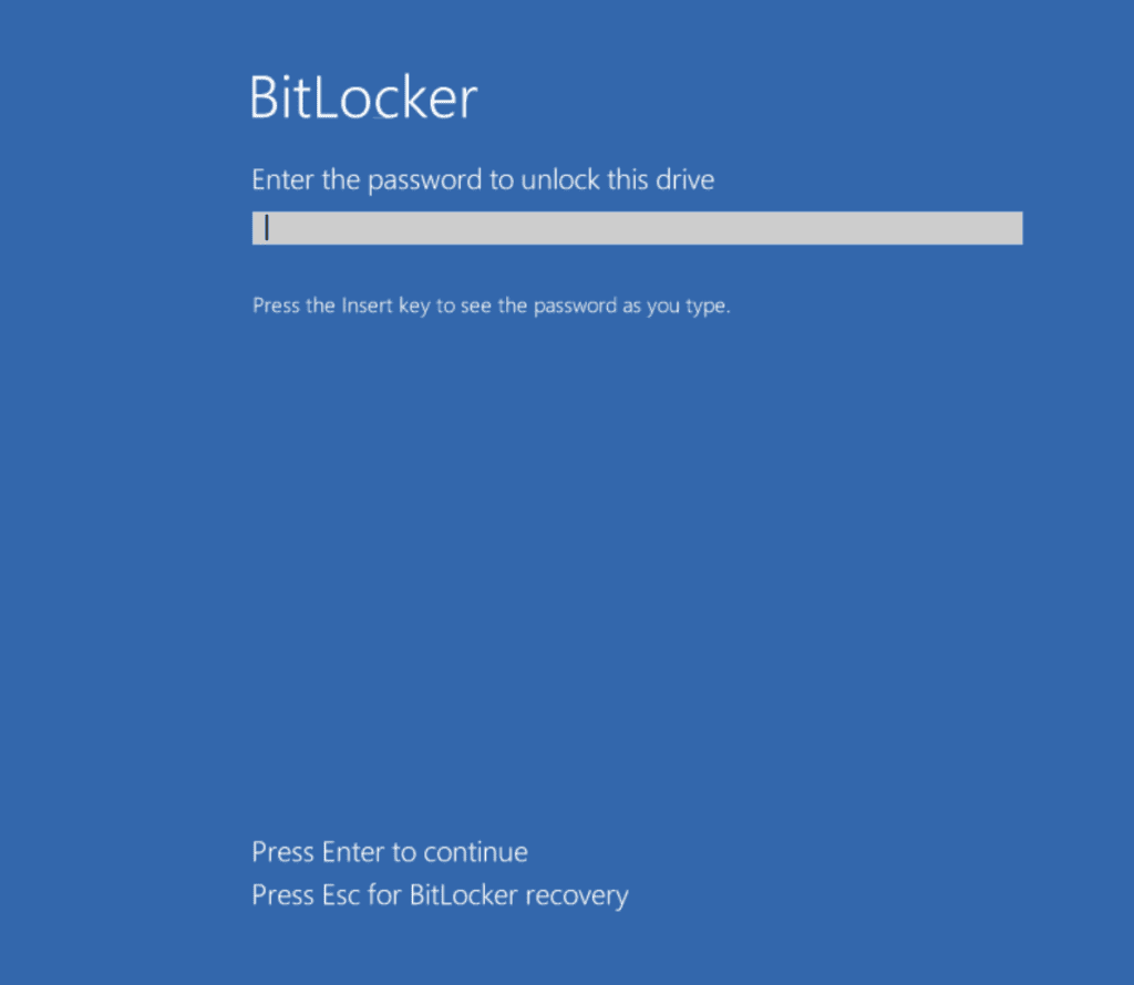 Bitlocker password Window