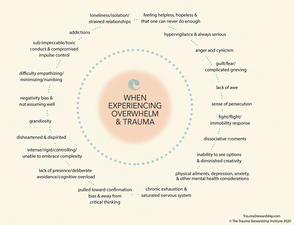 Wheel showing lots of different signs of Vicarious Trauma