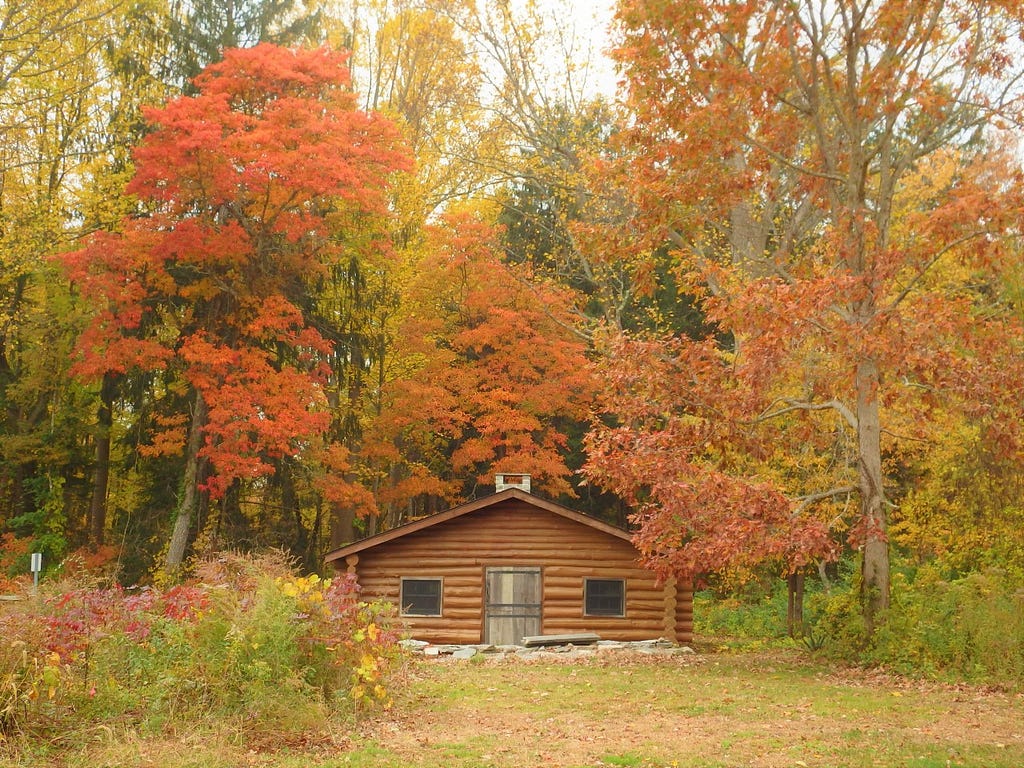 a small log cabin nestled in trees displaying bright orange and yellow leaves