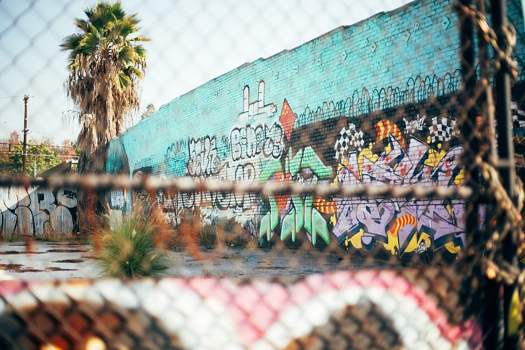 A graffiti-filled wall and a palm tree are visible behind a chain link fence.