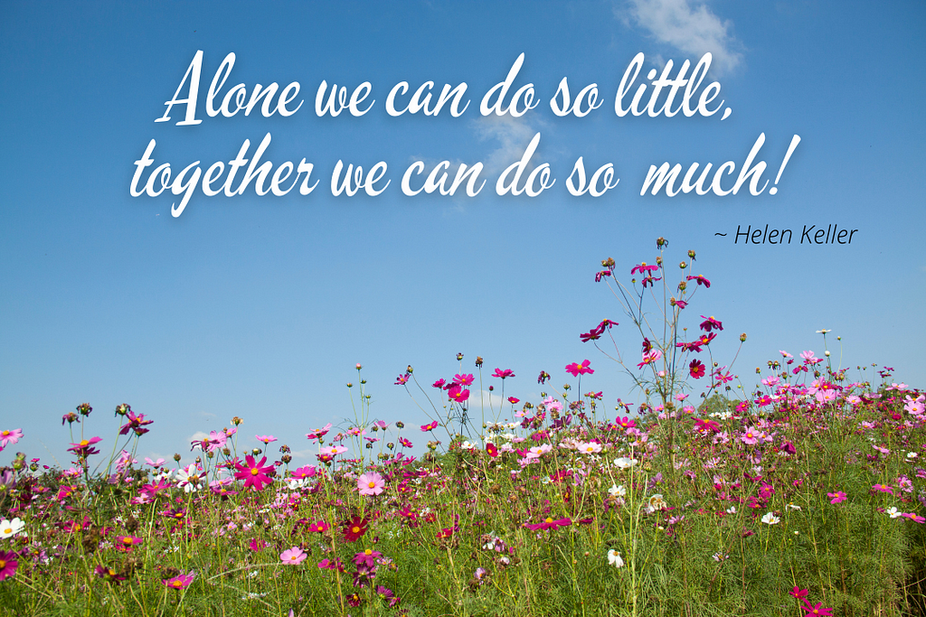 Field of flowers with words: Alone we can do so little, together we can do so much! (Helen Keller)