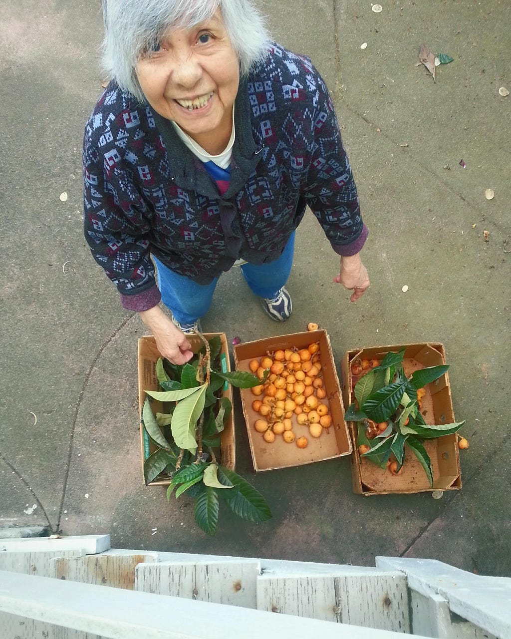 My grandma looking up at the camera and smiling, a few boxes in front of her filled with leaves, branches, and loquats