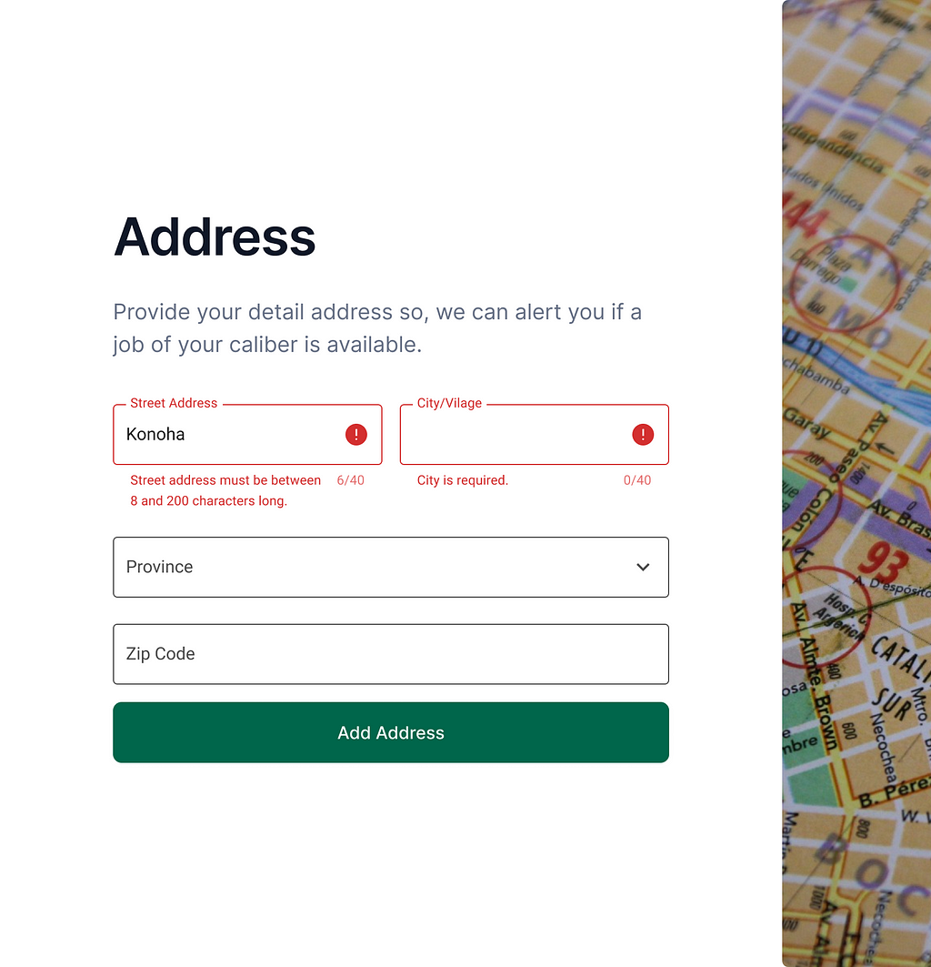 An address form with fields for Street Address, City/Village, Province, and Zip Code. The Street Address and City/Village fields display errors using helper text.