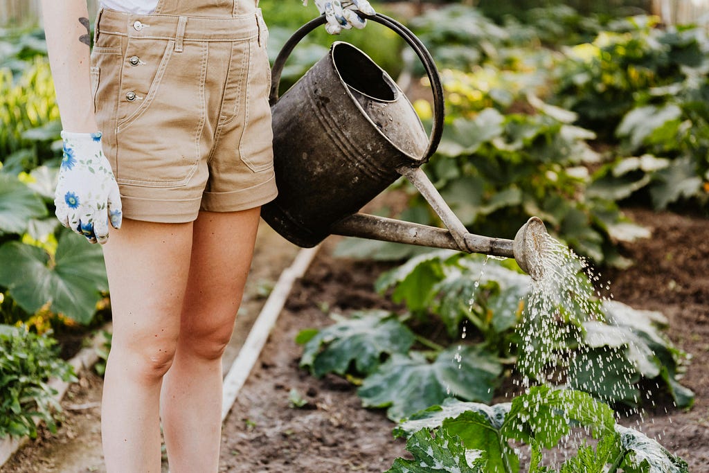 Lady watering her plants with a watering can