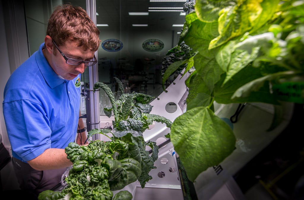 NASA’S employee working on crops in Kennedy Space Center