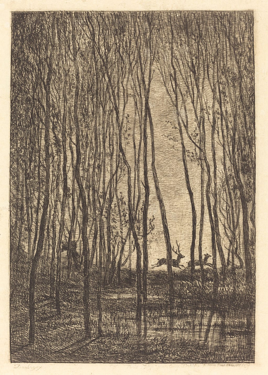 an etched drawing that is a silhoutted scene of two deer, one male one female, running through a forest of thin, spindly trees.