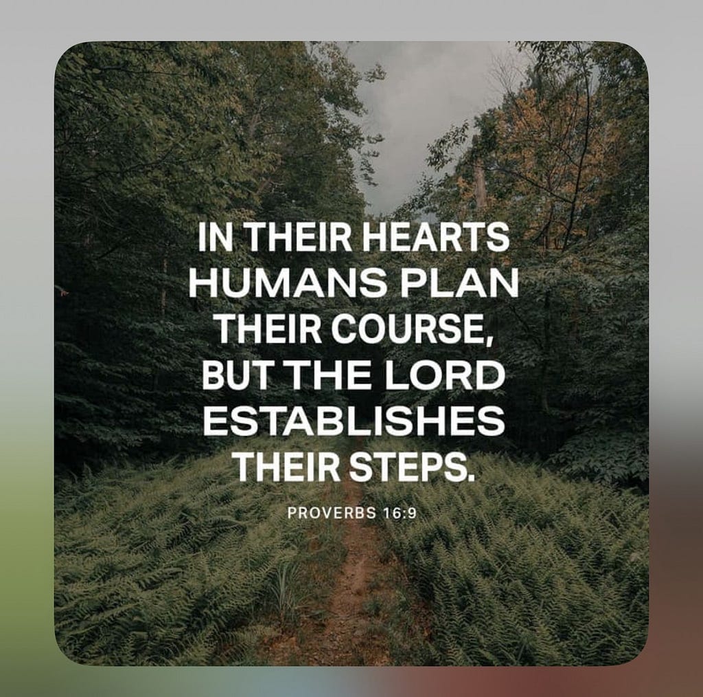 Proverbs 16:9 — In their hearts humans plan their course, but the Lord establishes their steps — is displayed in front of a woodland and grass covered background.