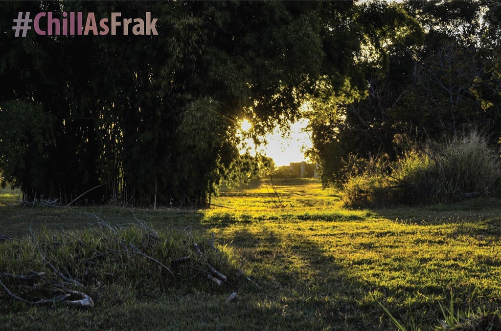 Foto autoral realizada no Parque das Garças, em Brasília.