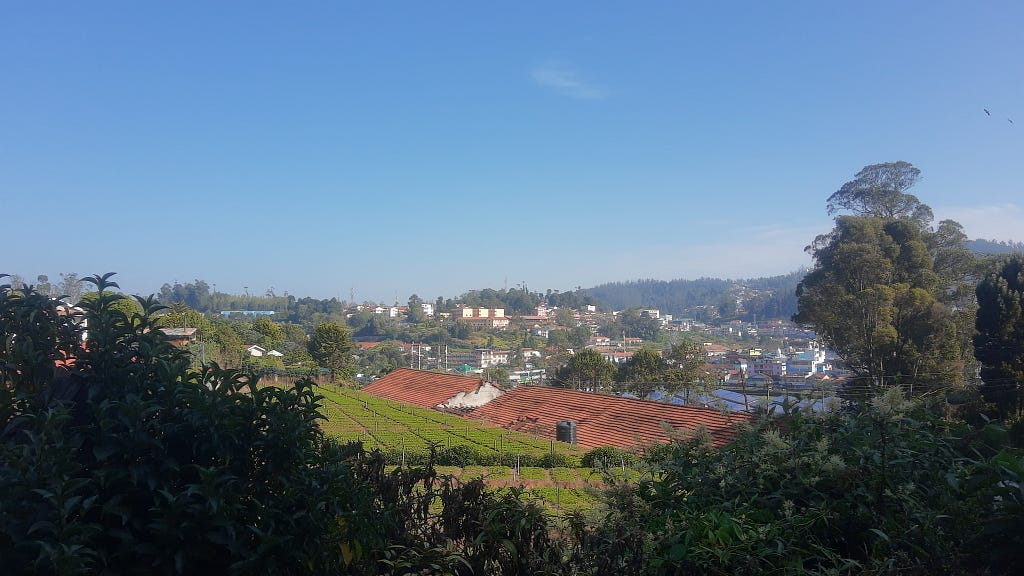 A view of the valley, with tea gardens on the left, followed by a red roof and various buildings further ahead and to the right. A part of the racecourse can be seen towards the right. Greenery and shrubs partially obscure the pictures bottom and right edges.
