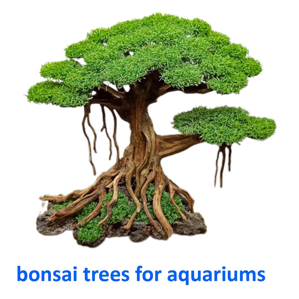 bonsai trees for aquariums