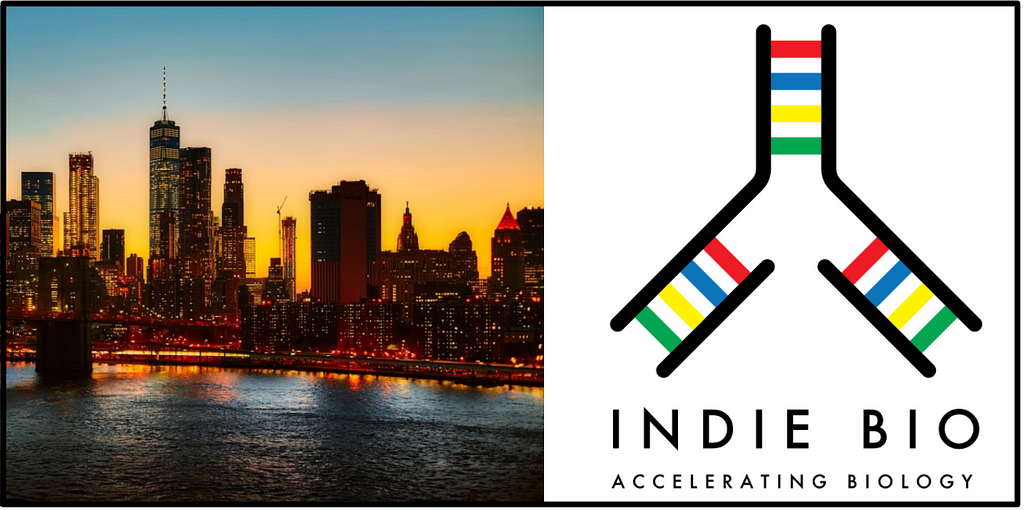 Skyline of New York City at Sunset next to the IndieBio logo