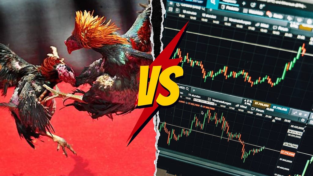 Contrasting scenes in one image: On the left, two roosters locked in combat. On the right, a computer screen displaying crypto futures trading.
