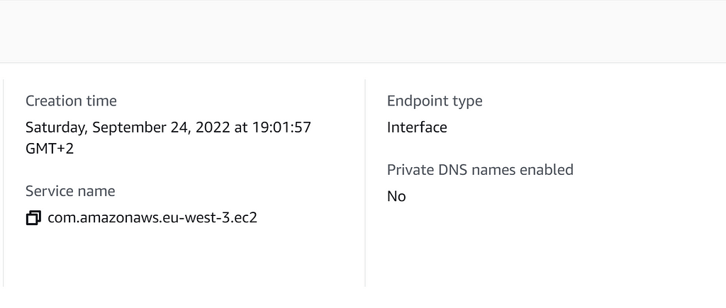 Private DNS Name Disabled