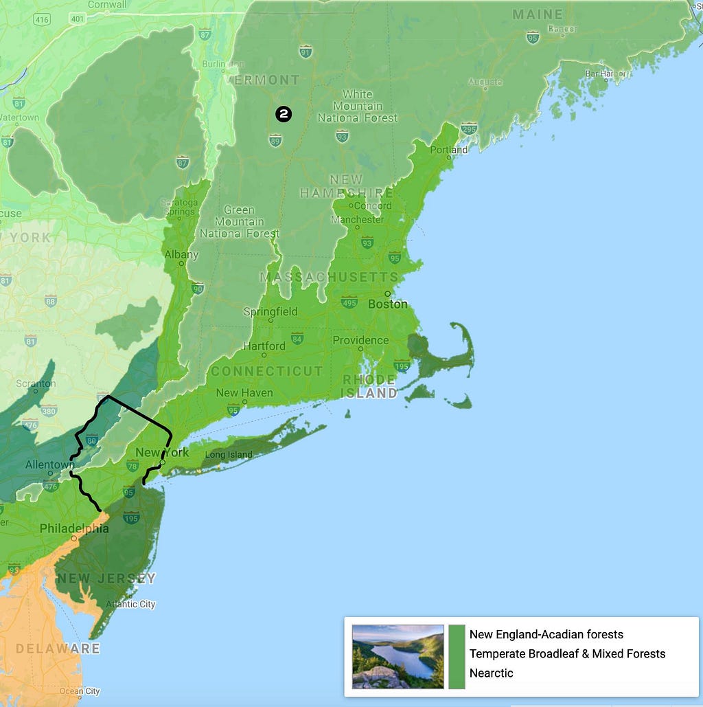 New England-Acadian forests eco-region map