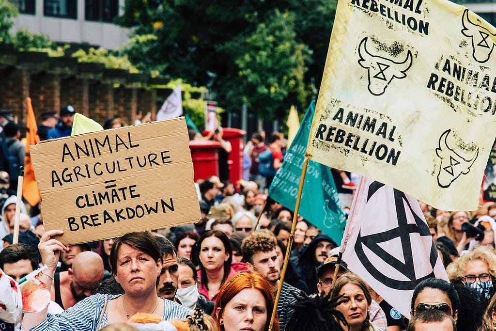 A crowd of people at a protest. A woman holds a sign reading animal agriculture = climate breakdown while another holds a yellow Animal Rebellion flag