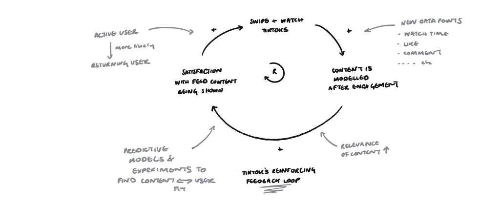 TikTok’s reinforcing feedback loop.