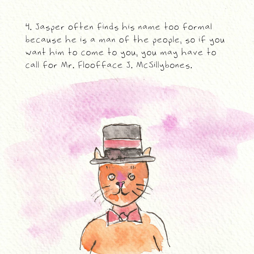 An orange cat wearing a top hat and a bow tie sits on a light purple background. Text reads: 4. Jasper often finds his name too formal because he is a man of the people, so if you want him to come to you, you may have to call for Mr. Floofface J. McSillybones.