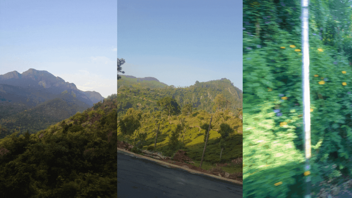 three pictures placed side by side of the first glimse of Ooty. The leftmost image has a mountain range, with golden-orange rocks. A sloping incline with trees can be seen in the bottom half. The middle image contains a valley, green and verdant with fields and a mountain range in the background. The right-most image is a video of the wallflowers passing by the window of the bus. The light turns golden, lightening the dark green leaves to light green.