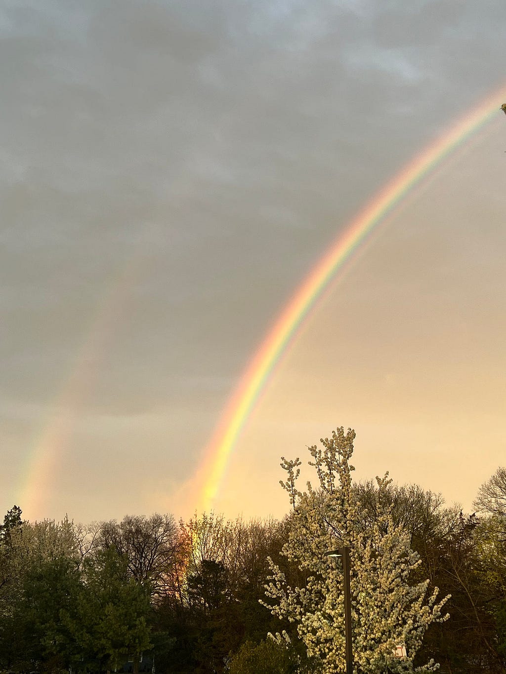 A double rainbow captured at sunset just after a rainstorm.