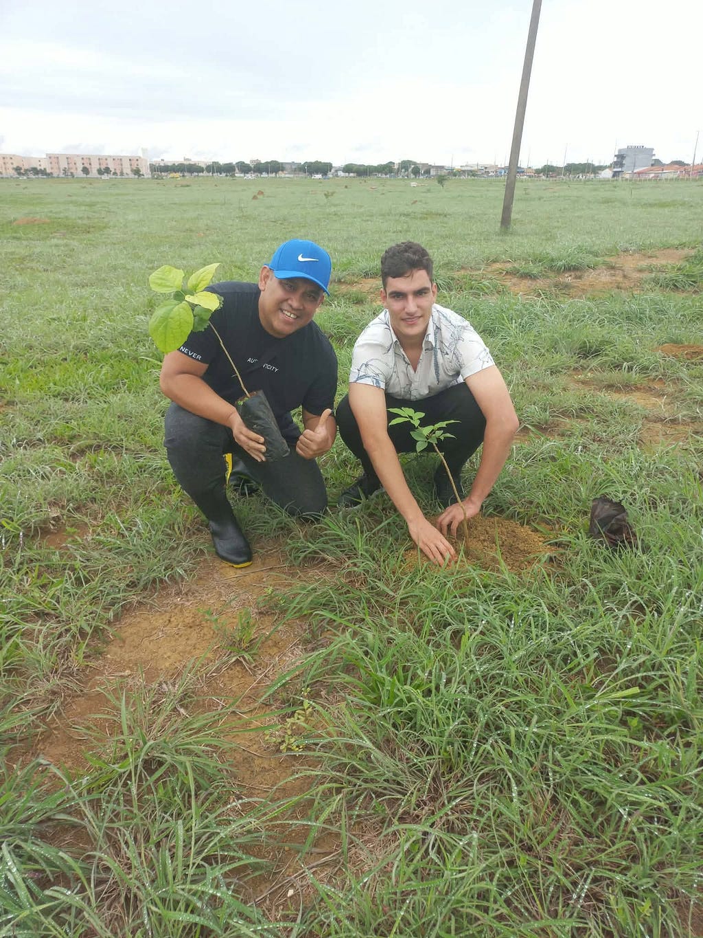 Planting Native Trees: Why Every Educational Institution Should Grow a Living Classroom