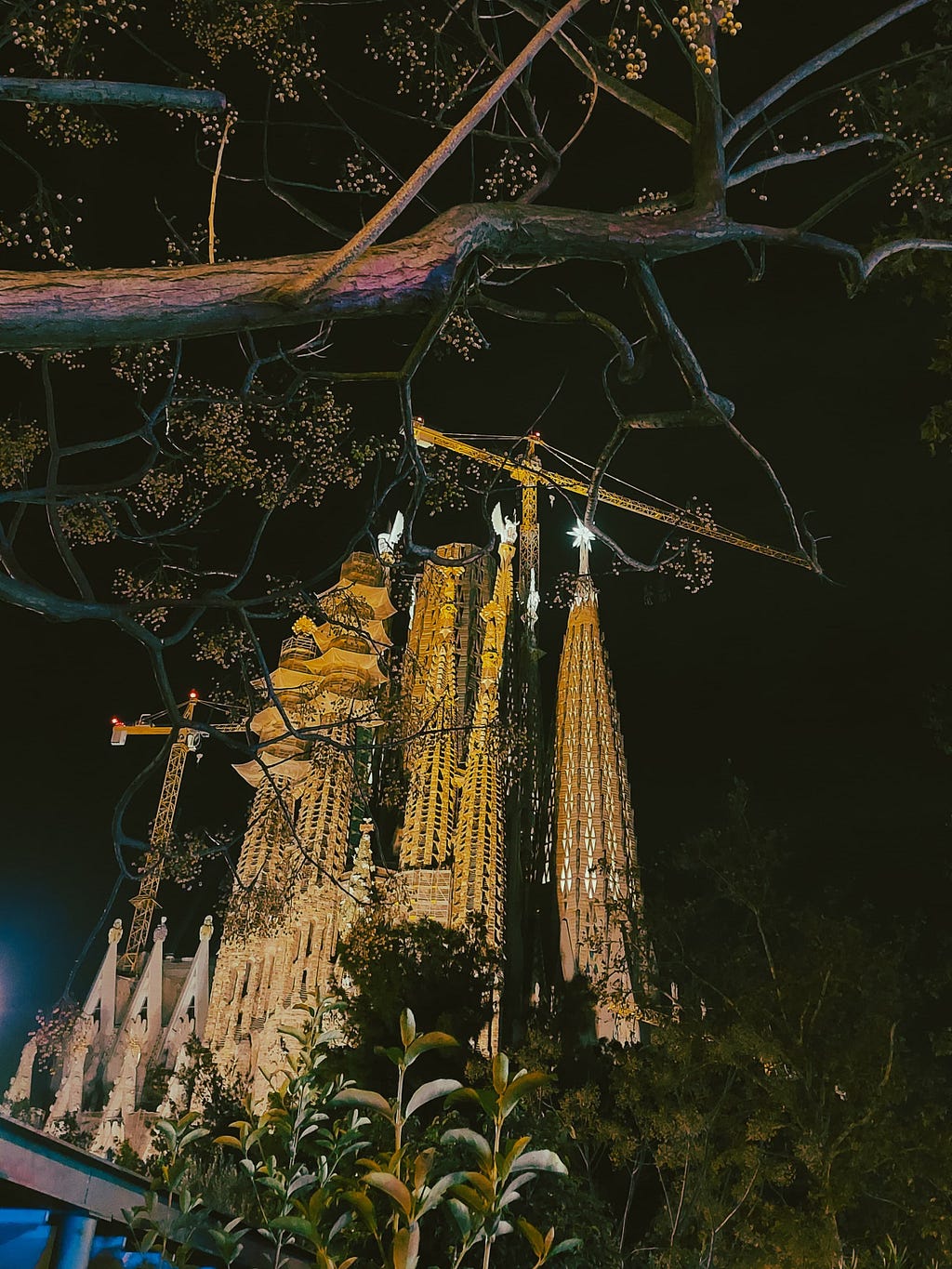 La Sagrada Família during the event to turn on the lights of the Evangelists’ Towers, in November 2023. Photo taken from a certain distance, in the middle of the park close to the temple.