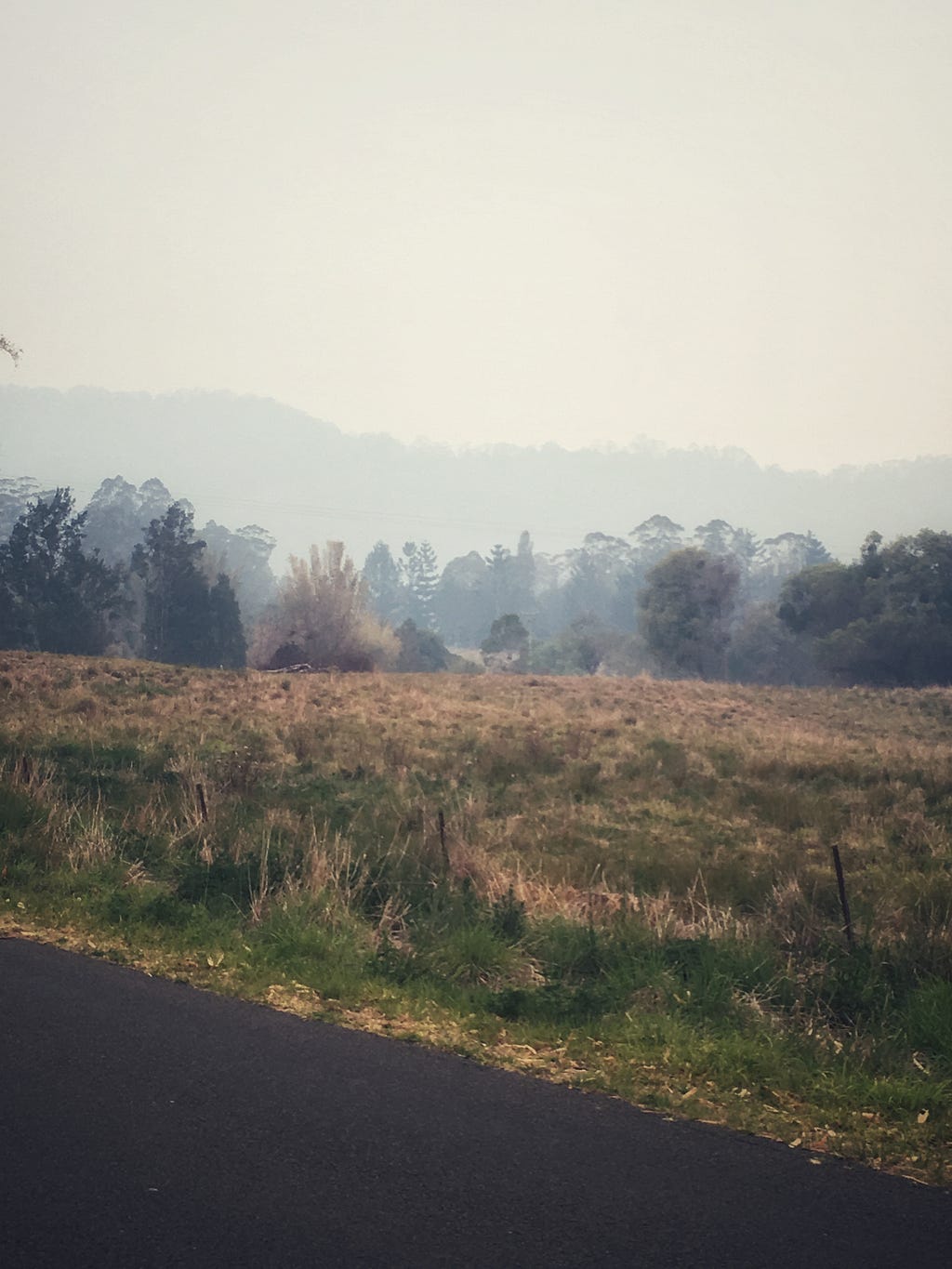 Agricultural land in Australia with trees and smoke in the foreground.