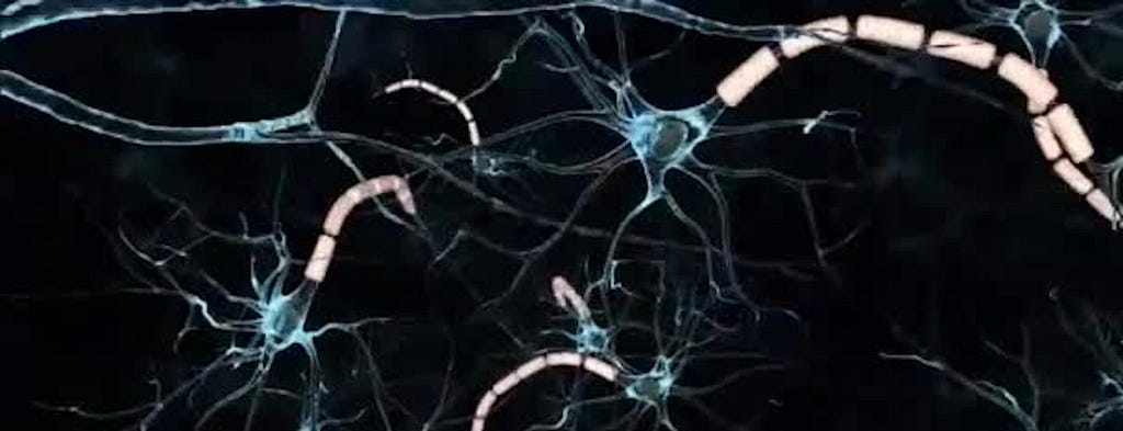 Image of neural cells