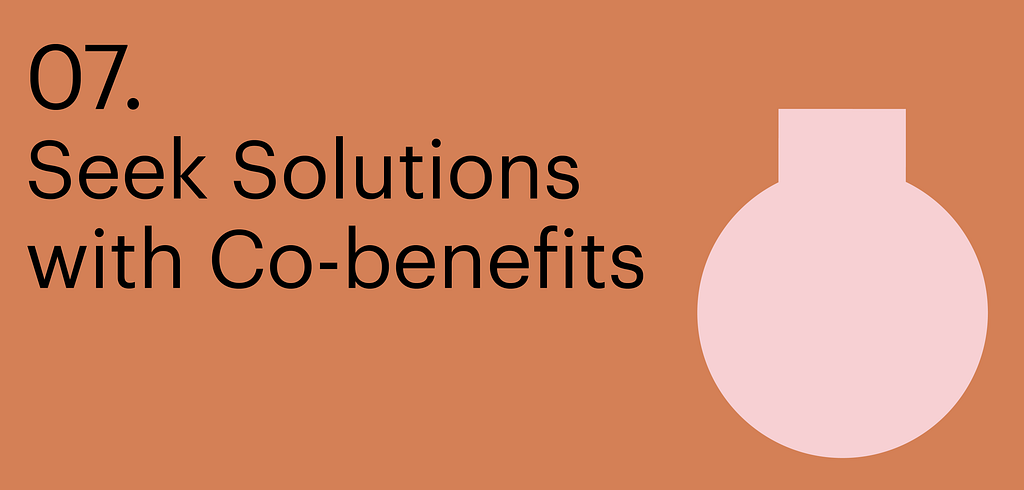 Principle seven. Seek solutions with Co-benefits