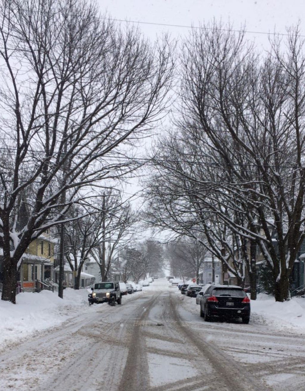 A snowy street lined with parked cars and trees