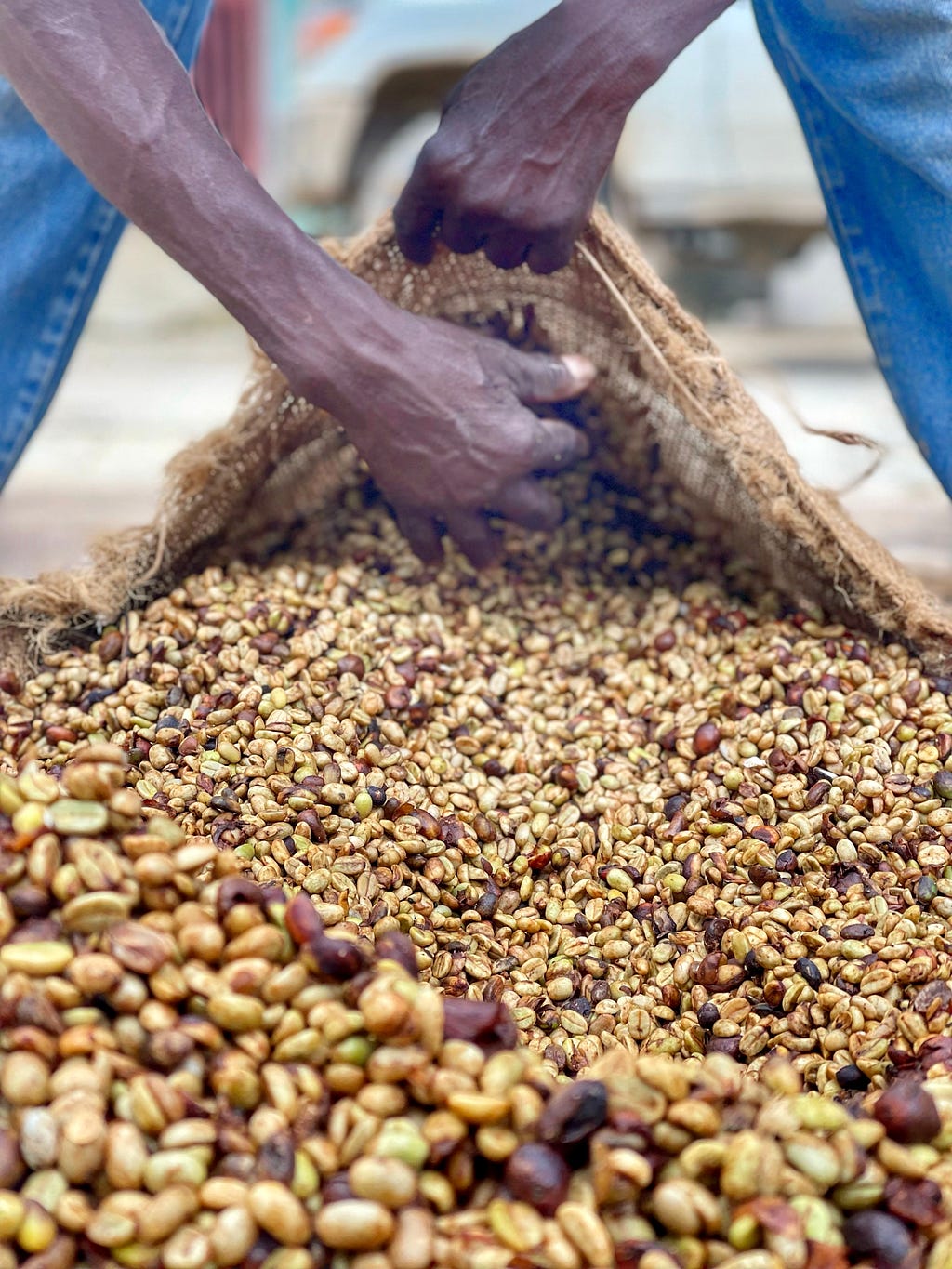 A man’s hand scooping coffee beans into a sack.