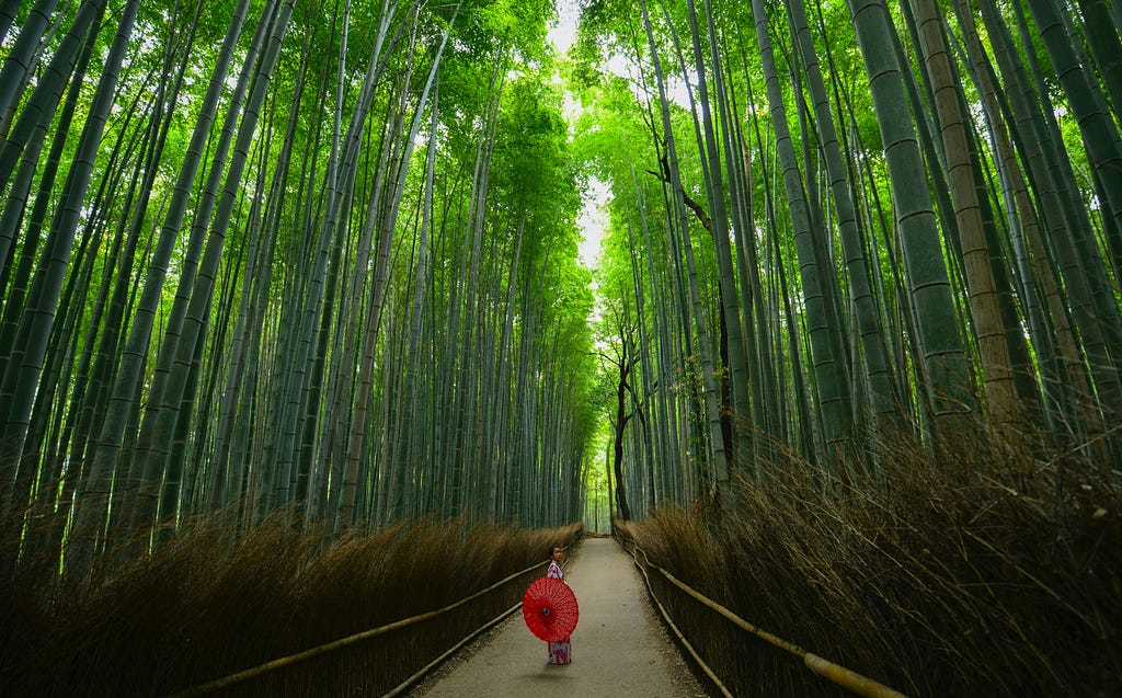 A path leading through a forest, woman holding a red parasol.