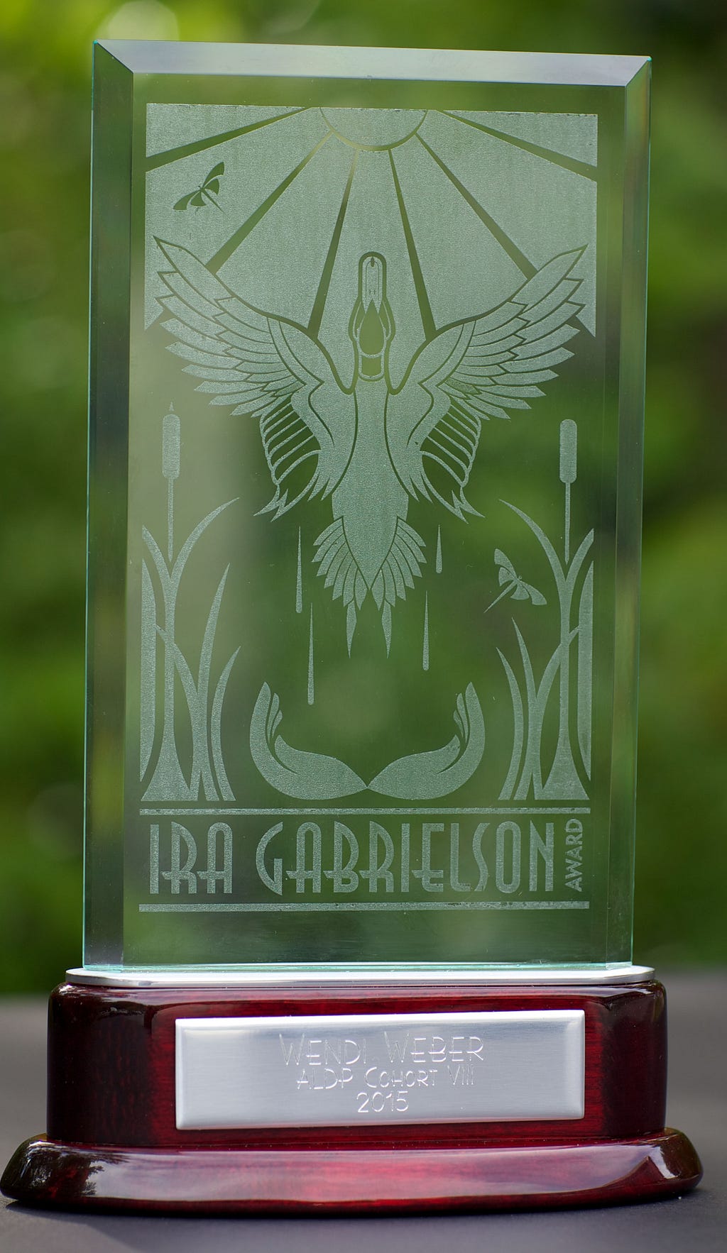 The Ira Gabrielson Award designed by Kristin Simanek