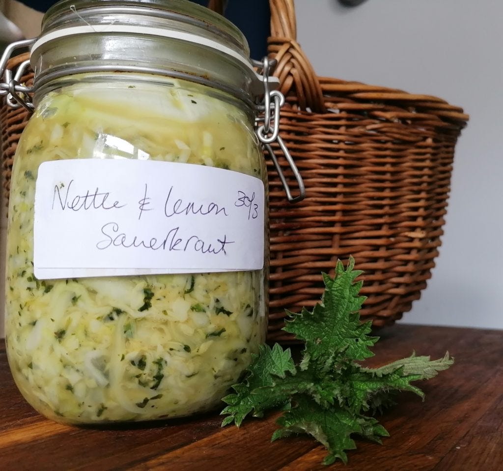 A jar of nettle and lemon sauerkraut next to a wicker basket with nettles