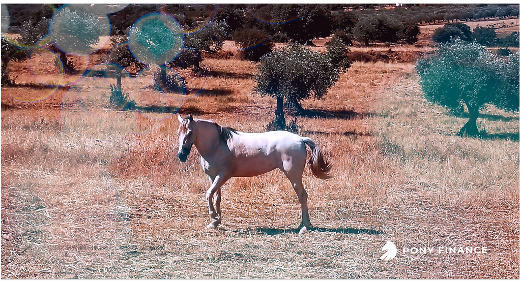 A horse strolls along a picturesque landscape. The text Pony Finance is displayed on the corner of the image.