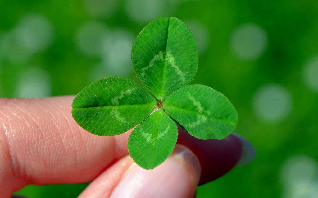 7 Lucky Irish YouTube Channels to Celebrate St. Patrick’s Day
