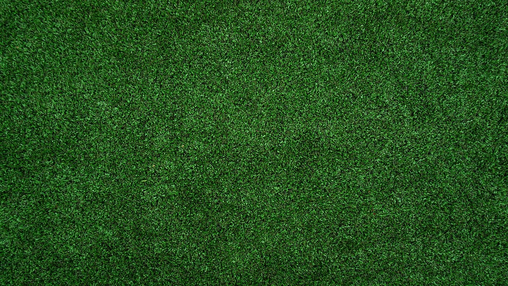 En grønn gressplen uten noen markeringer.