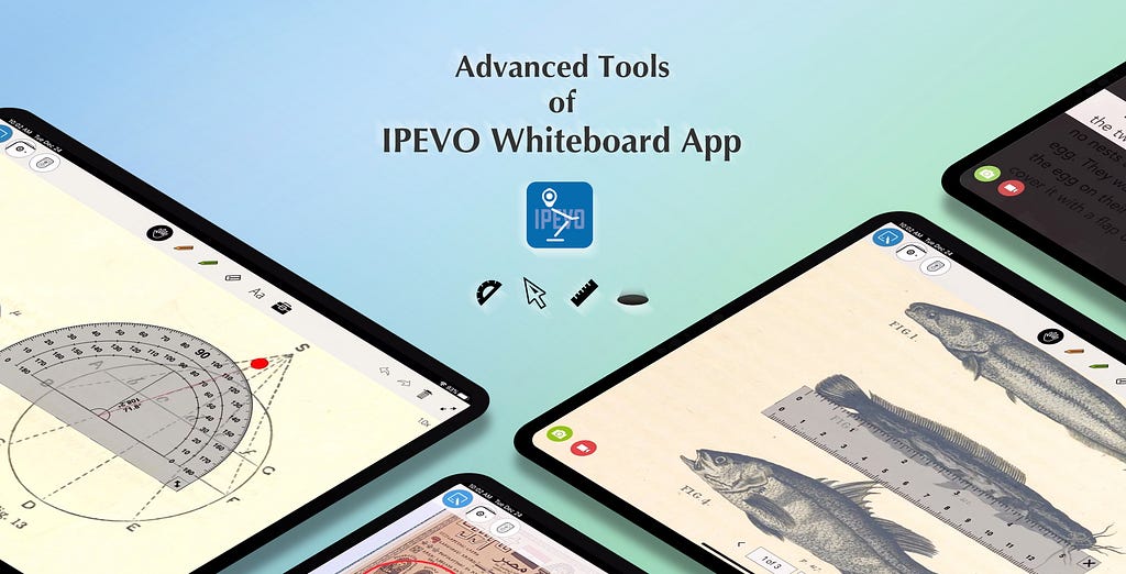 Check out the Advanced Tools of IPEVO Whiteboard app