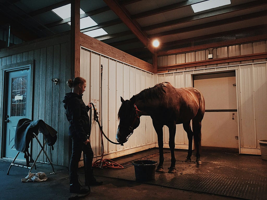 Woman getting her horse ready to ride