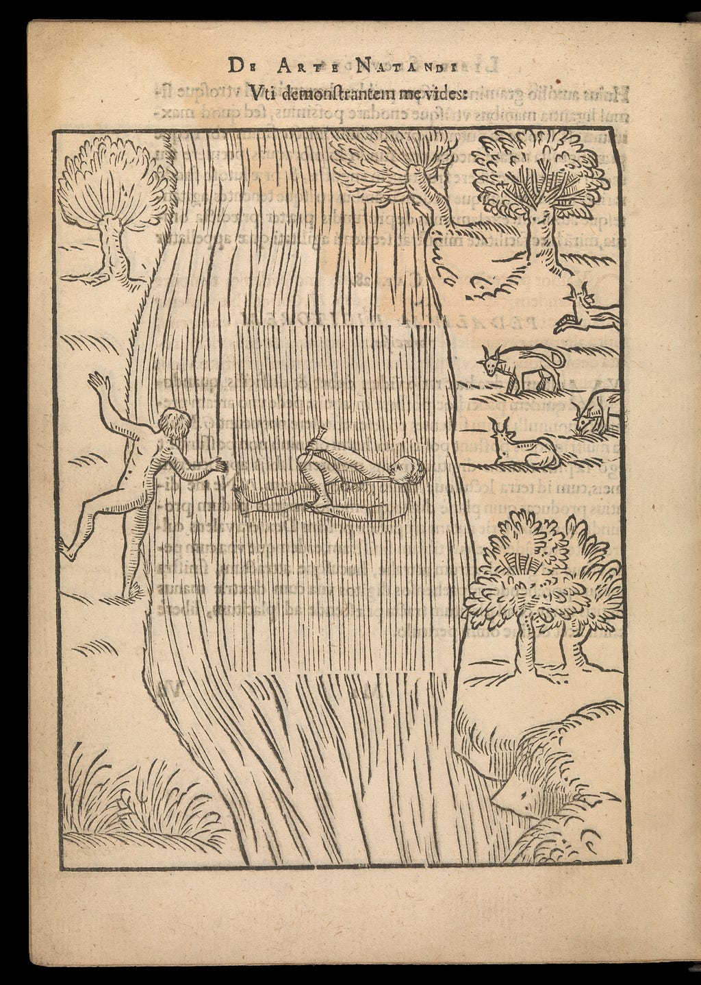 Woodcut showing a nude man falling into the river while another nude man floats.