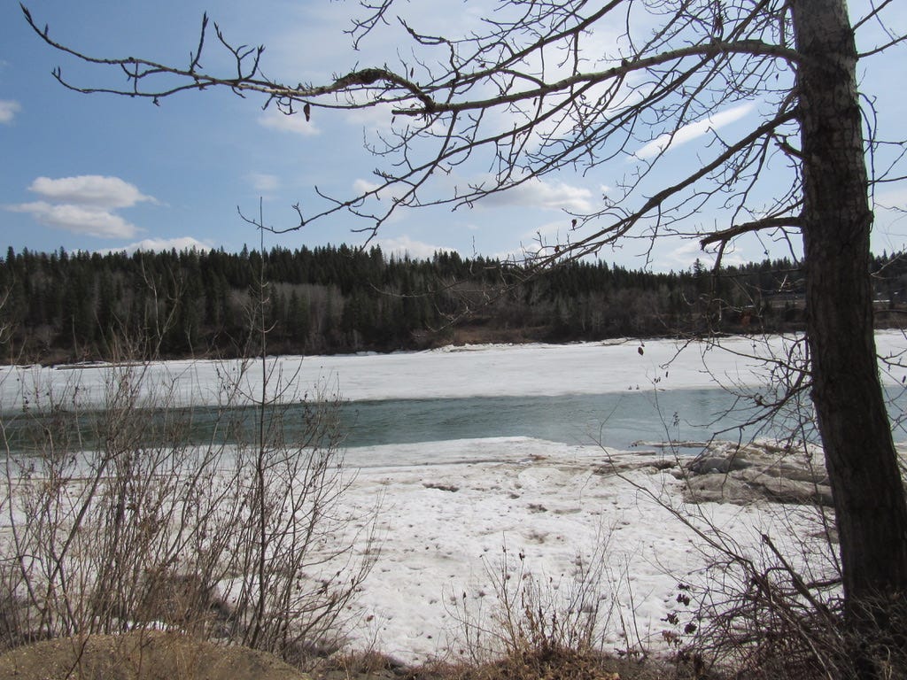 Snow on a riverbank with a bare tree in the foreground.