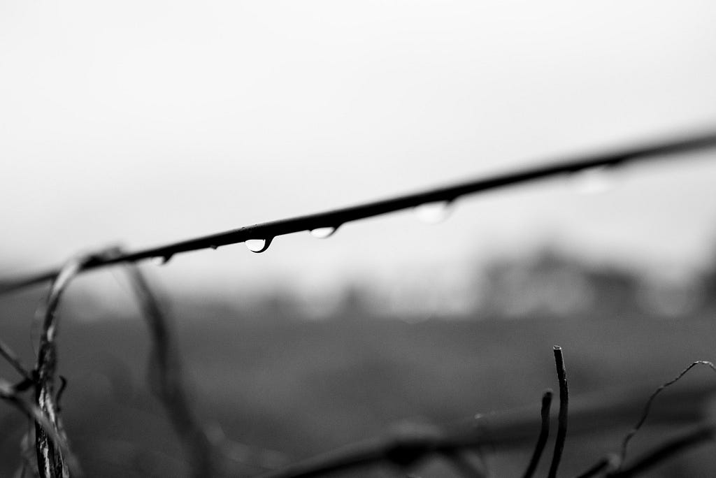Raindrops hang from a wired fence. Mülheim a. d. Ruhr, Germany, April 28, 2023.