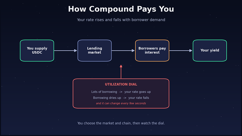 Flow diagram: you supply USDC to a Compound lending market, borrowers pay interest, and your yield is driven by a utilization dial that changes every few seconds.